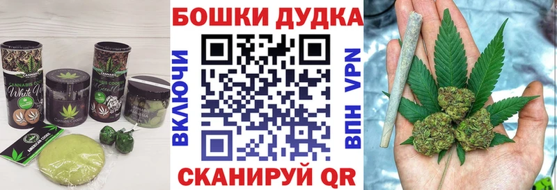 omg сайт  Макаров  Печенье с ТГК конопля 