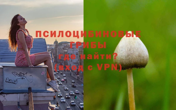 крисы Балабаново